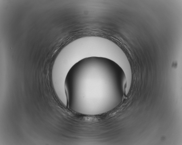 X0000096710520200802261632