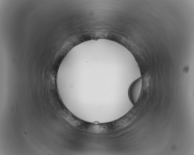 X0000096710522200802261632