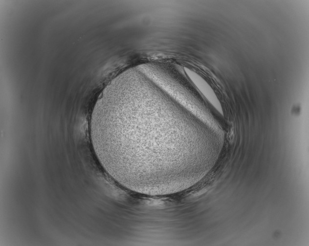 X0000096710523200802261632