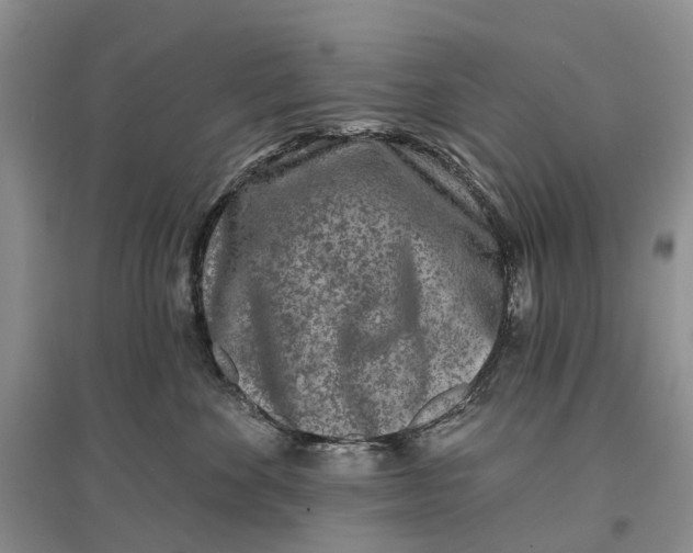 X0000096710524200802261632