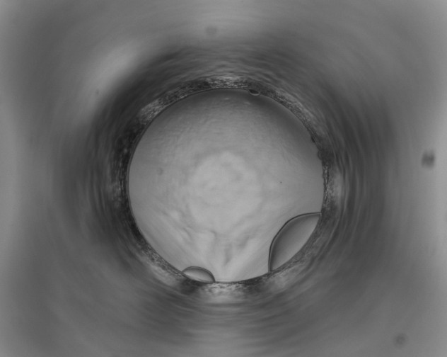 X0000096710526200802261632