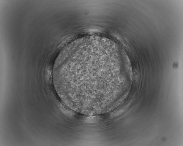 X0000096710527200802261632