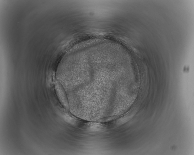 X0000096710528200802261632