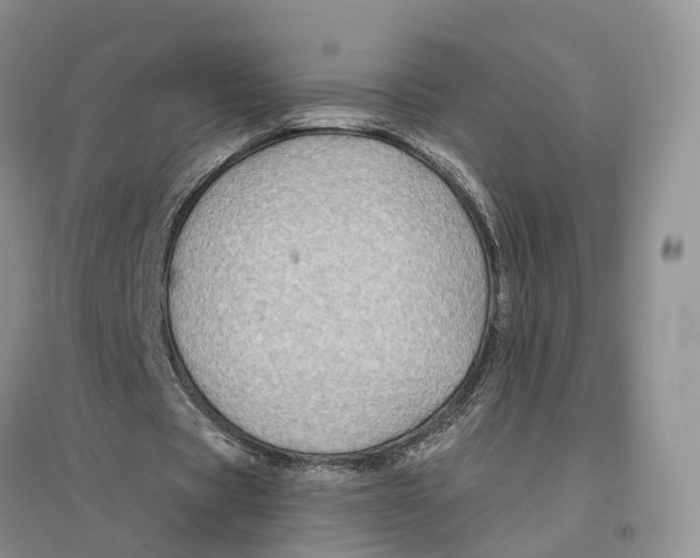 X0000096710529200802261631