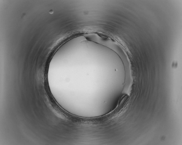 X0000096710530200802261631