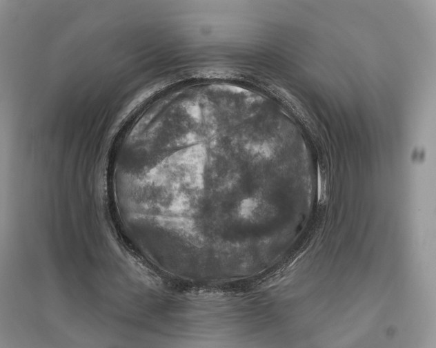 X0000096710531200802261631