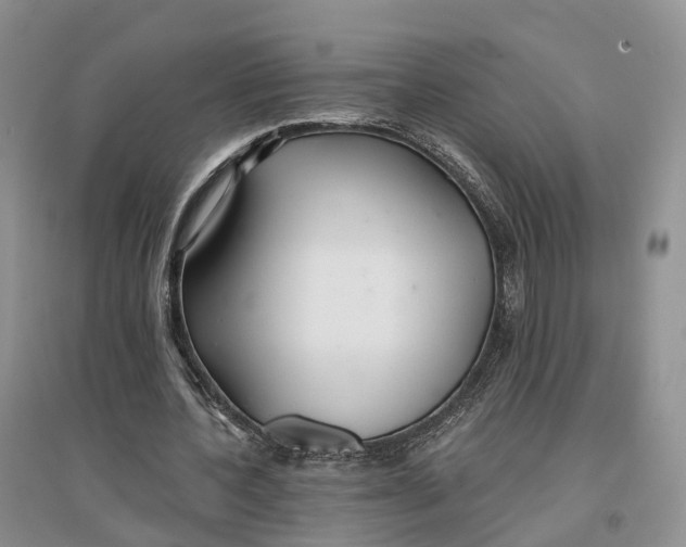 X0000096710532200802261631