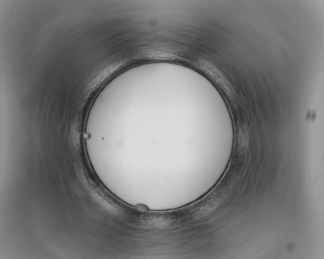 X0000096710533200802261631