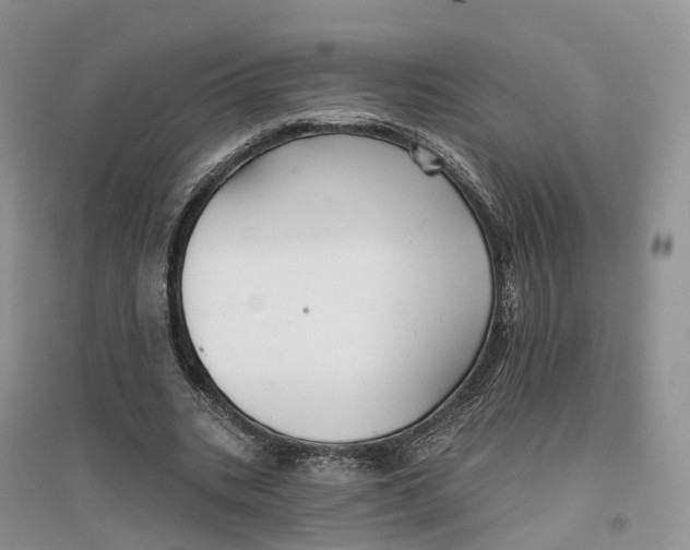 X0000096710535200802261631