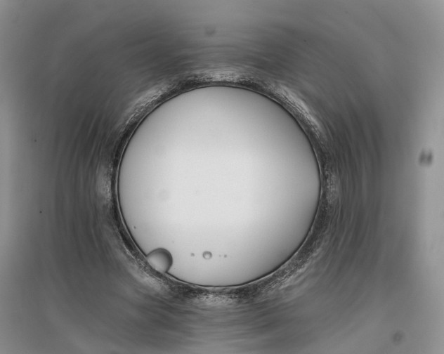 X0000096710537200802261631