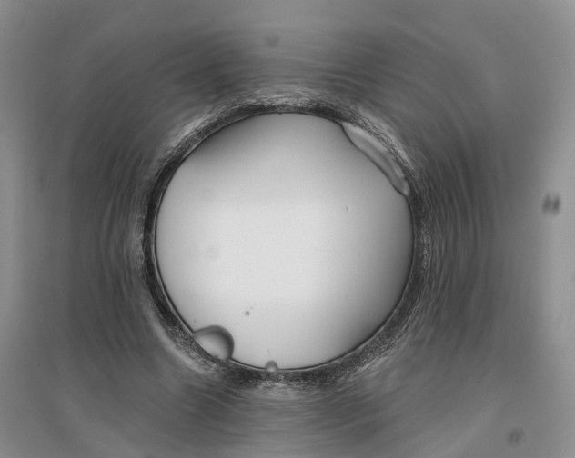 X0000096710538200802261631