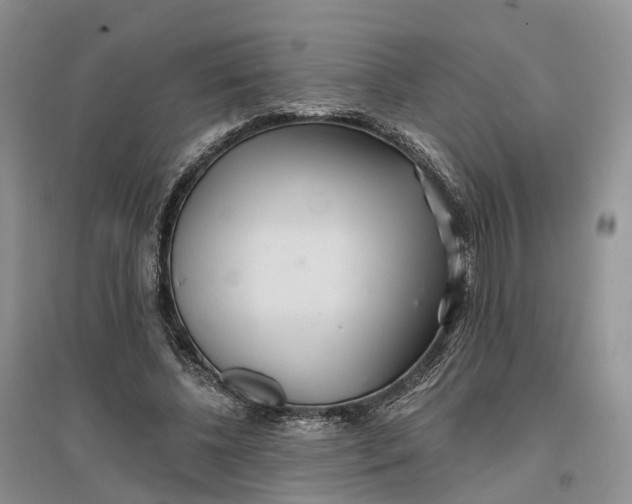 X0000096710540200802261631