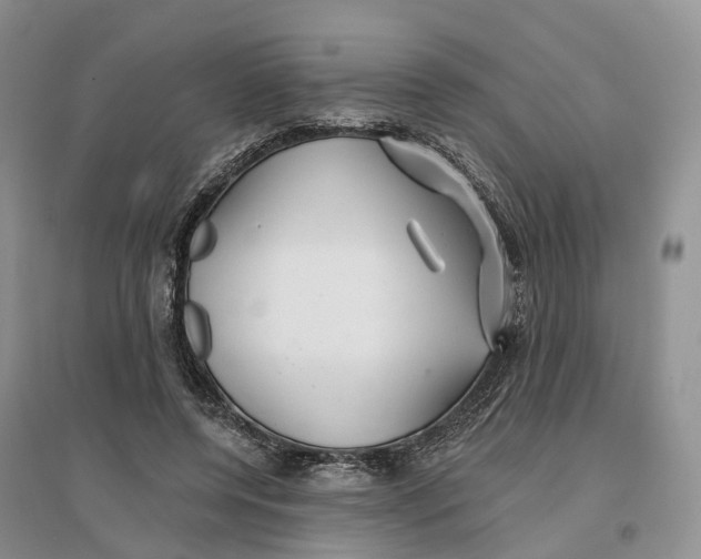 X0000096710544200802261631