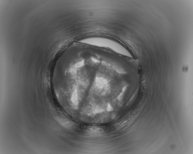 X0000096710547200802261631