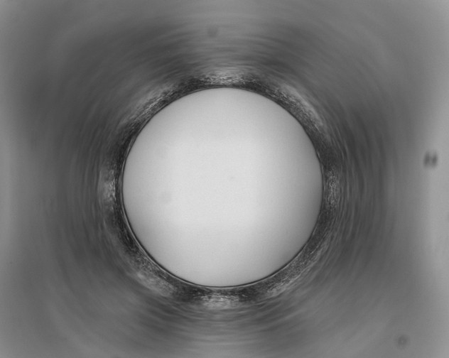 X0000096710549200802261631