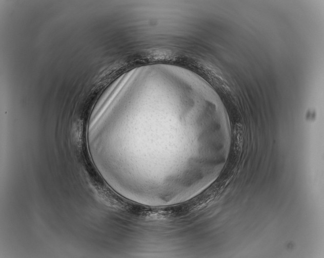 X0000096710550200802261632