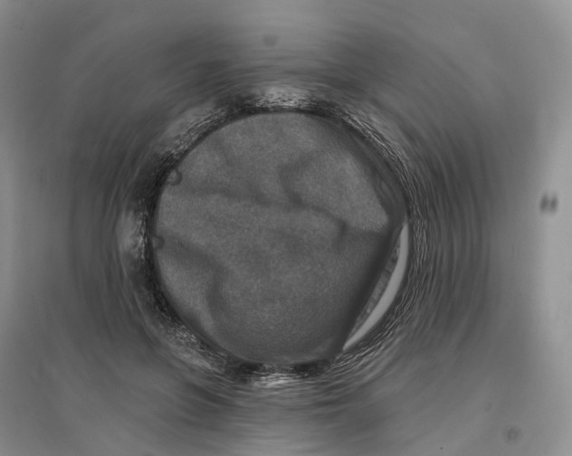 X0000096710551200802261632