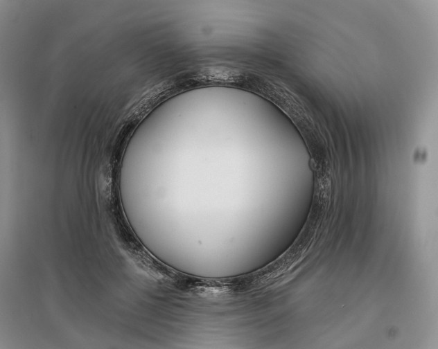 X0000096710552200802261632