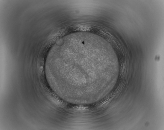 X0000096710553200802261632