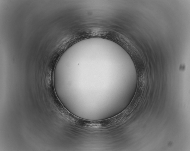 X0000096710554200802261632