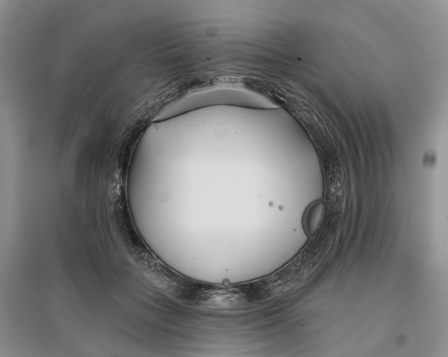 X0000096710555200802261632