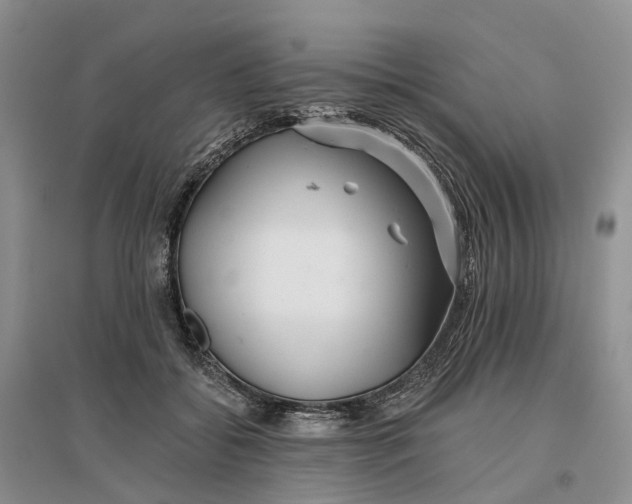 X0000096710556200802261632