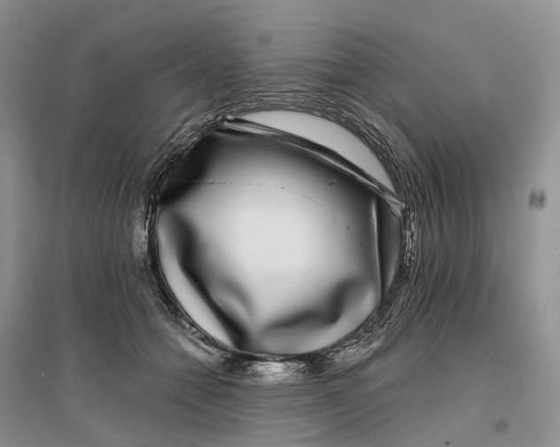 X0000096710558200802261632