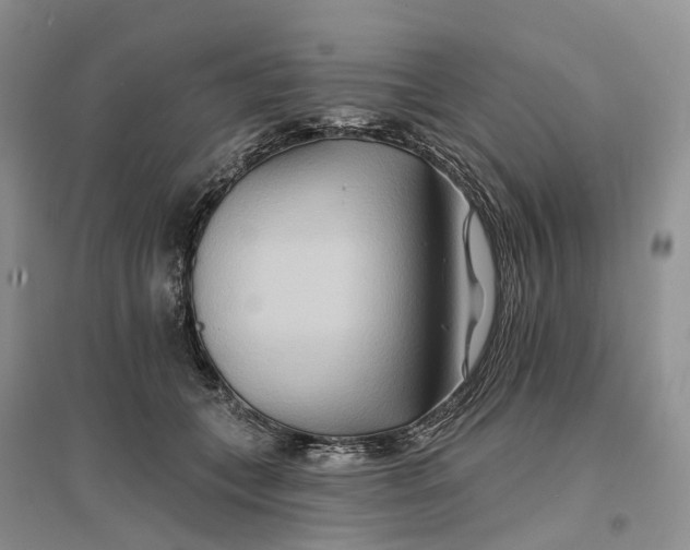 X0000096710559200802261632