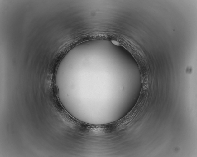 X0000096710560200802261632