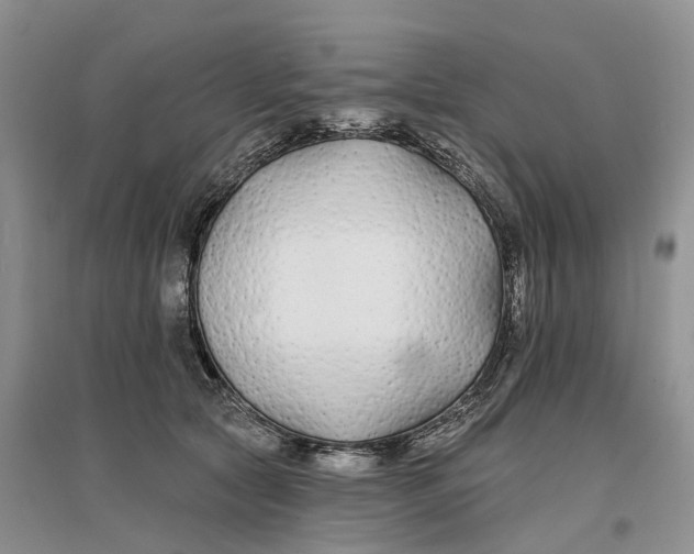 X0000096710561200802261632