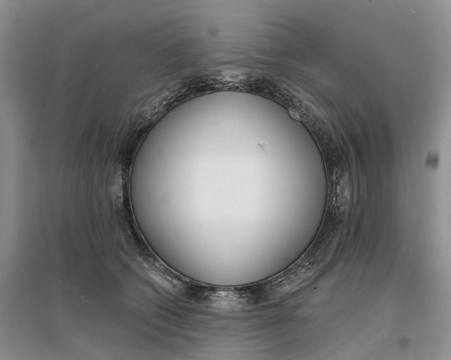 X0000096710562200802261632