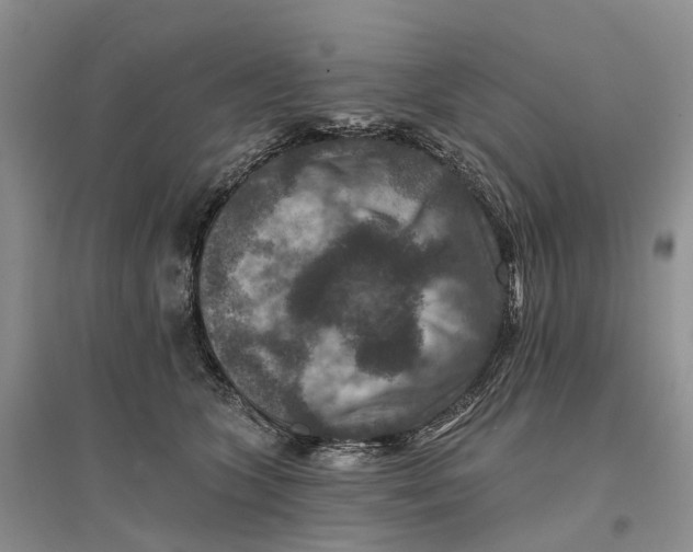 X0000096710563200802261632