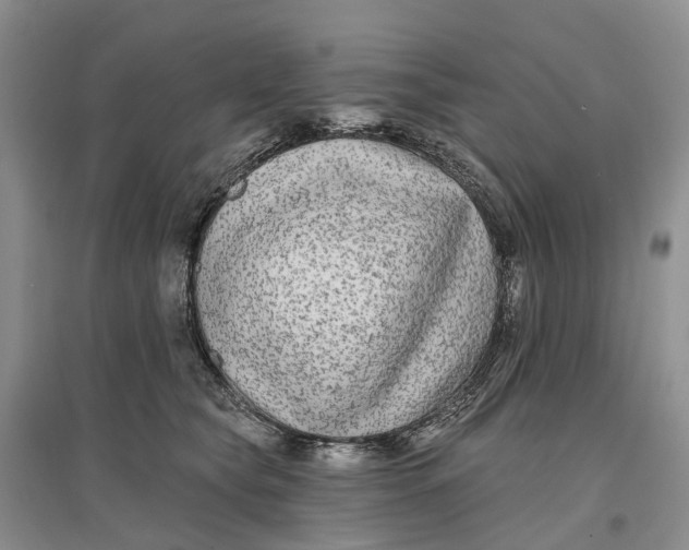 X0000096710565200802261632