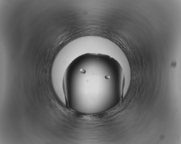 X0000096710568200802261632