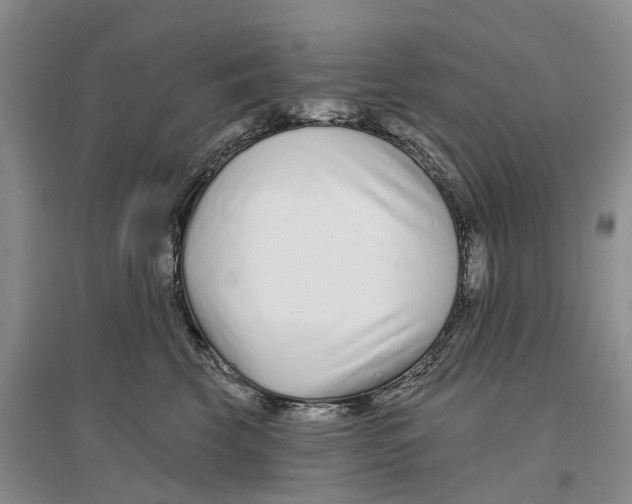 X0000096710569200802261632