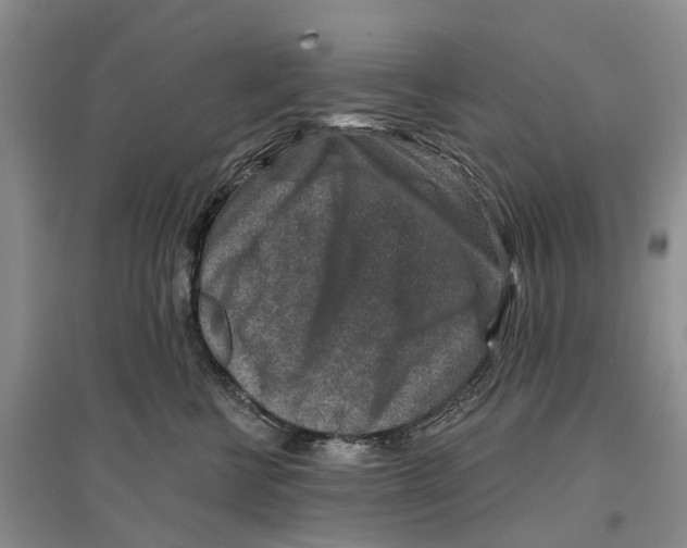 X0000096710570200802261632