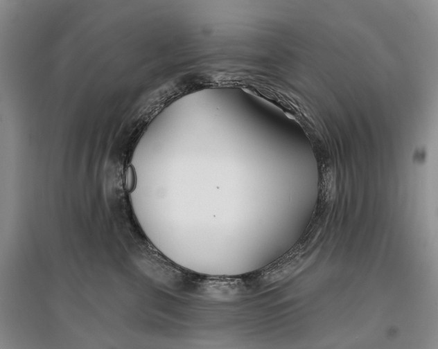 X0000096710571200802261632