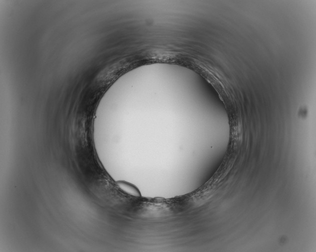 X0000096710572200802261632