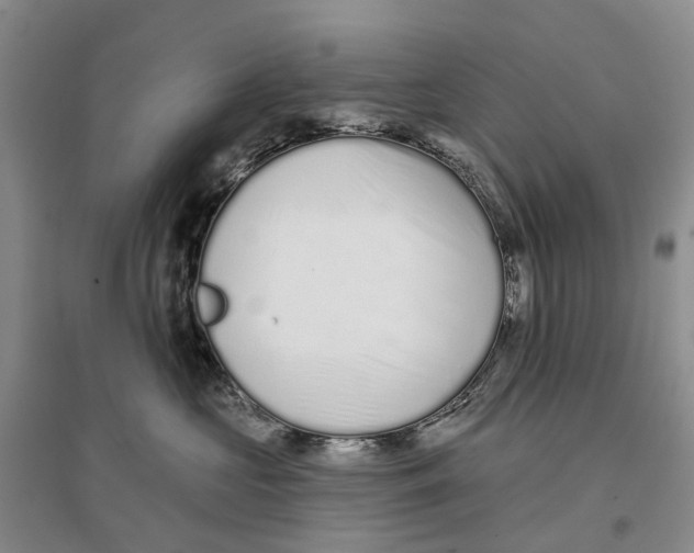 X0000096710573200802261632