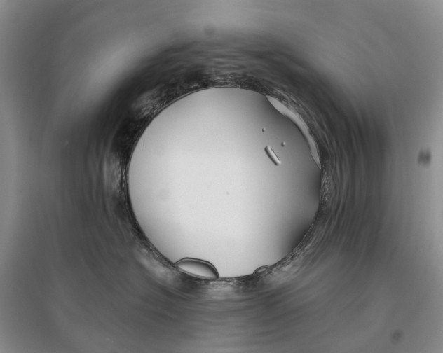 X0000096710574200802261632