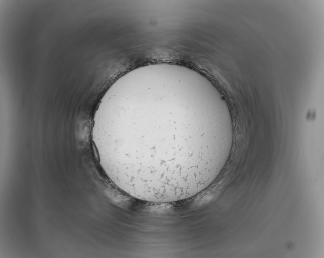 X0000096710576200802261632