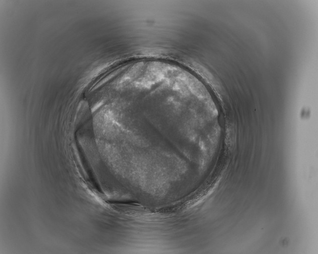 X0000096710577200802261631