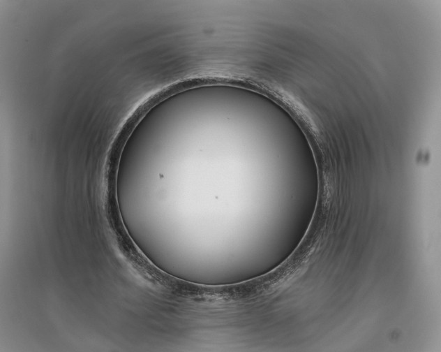 X0000096710580200802261631