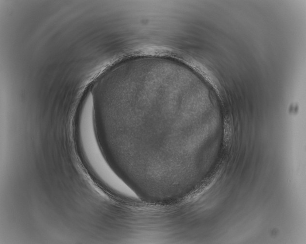 X0000096710581200802261631