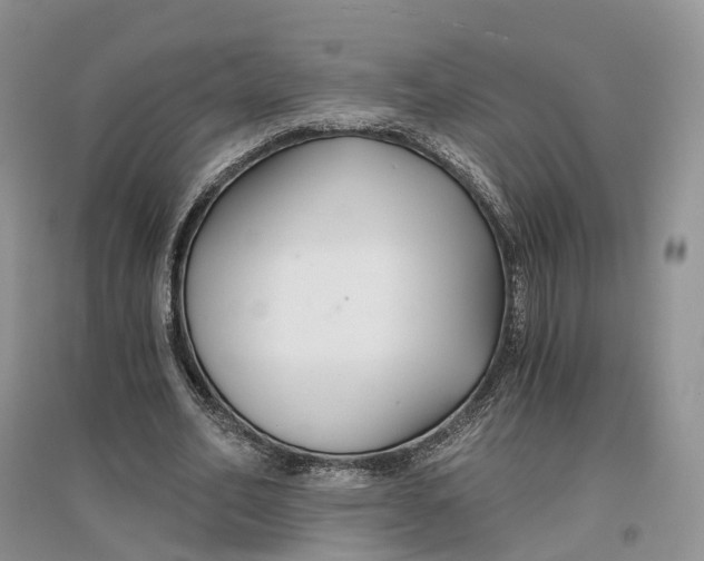 X0000096710582200802261631