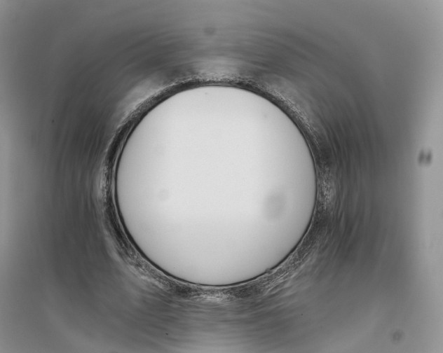 X0000096710583200802261631