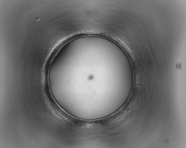 X0000096710584200802261631