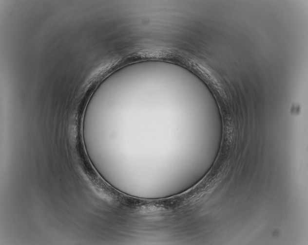 X0000096710586200802261631