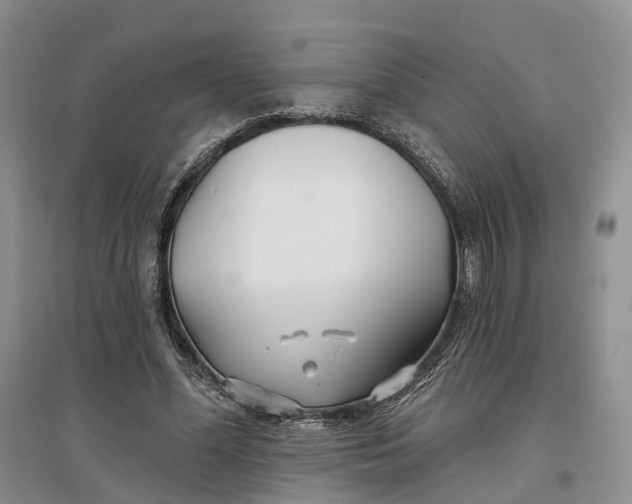 X0000096710588200802261631