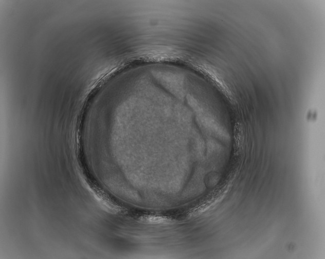 X0000096710590200802261631